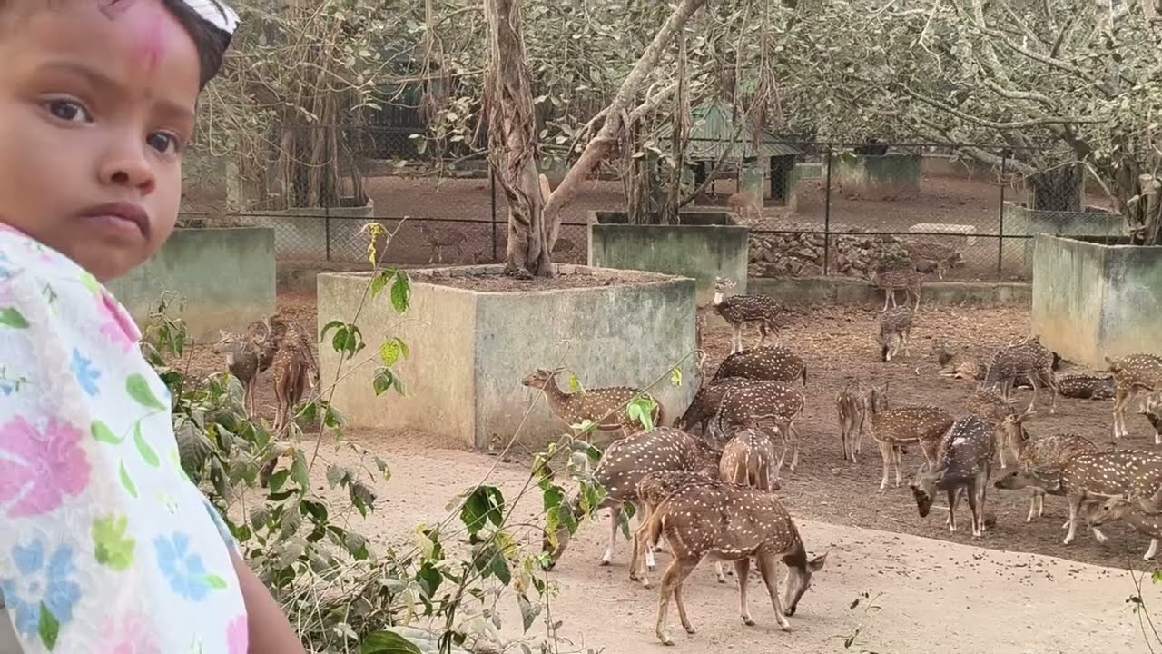 Jagannath Puri 
