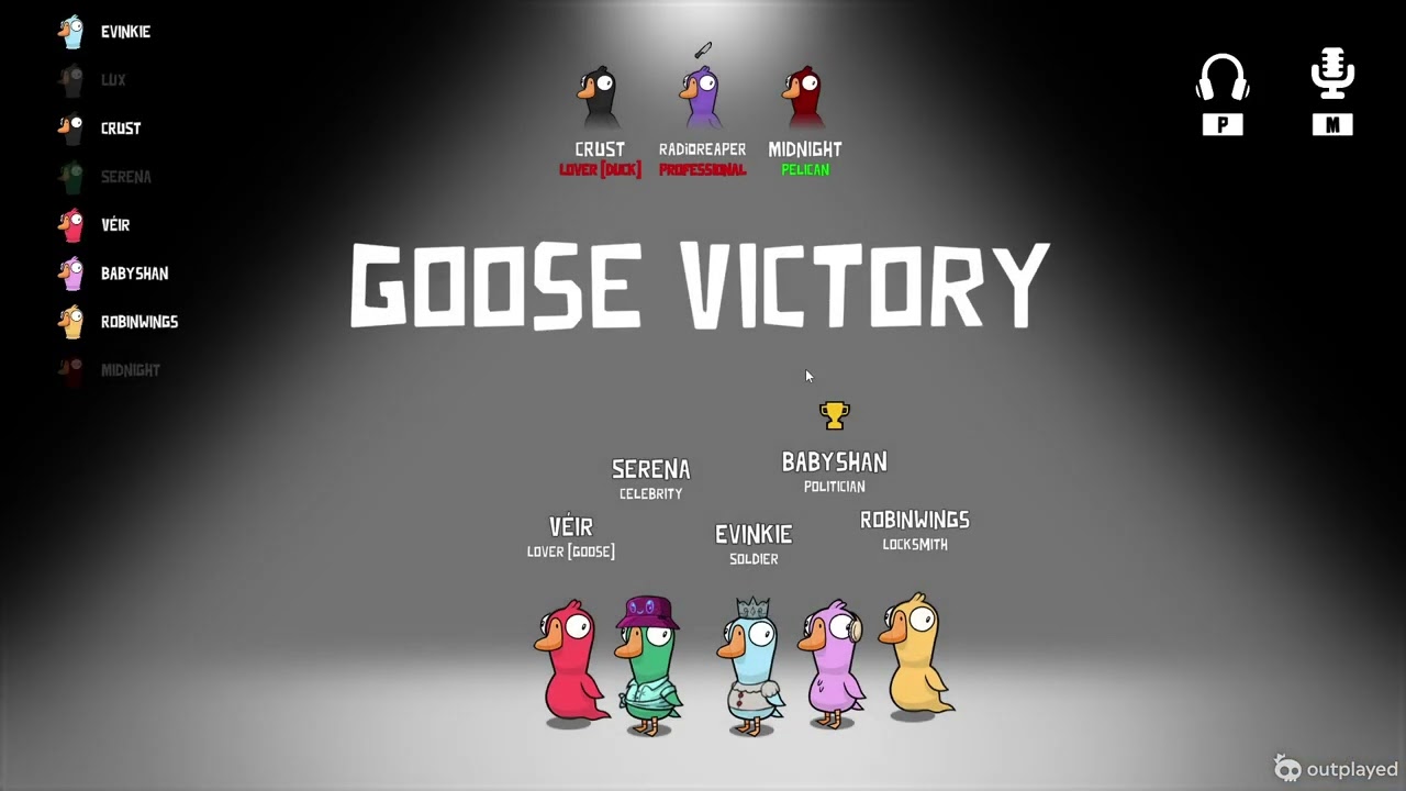Another goose video, why not right?