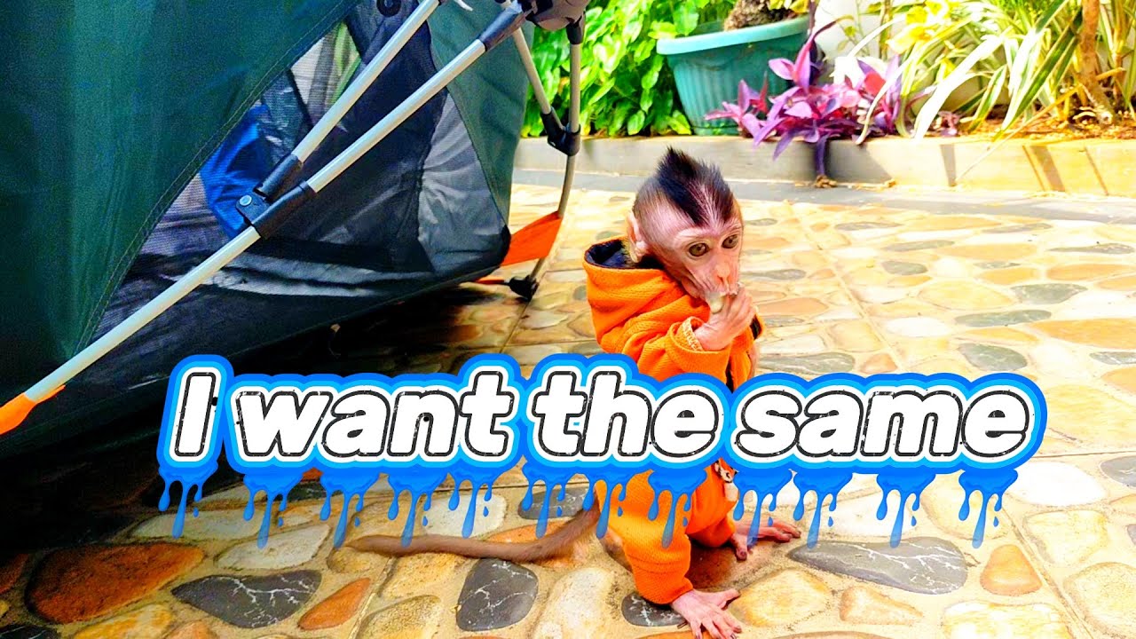 I want the same