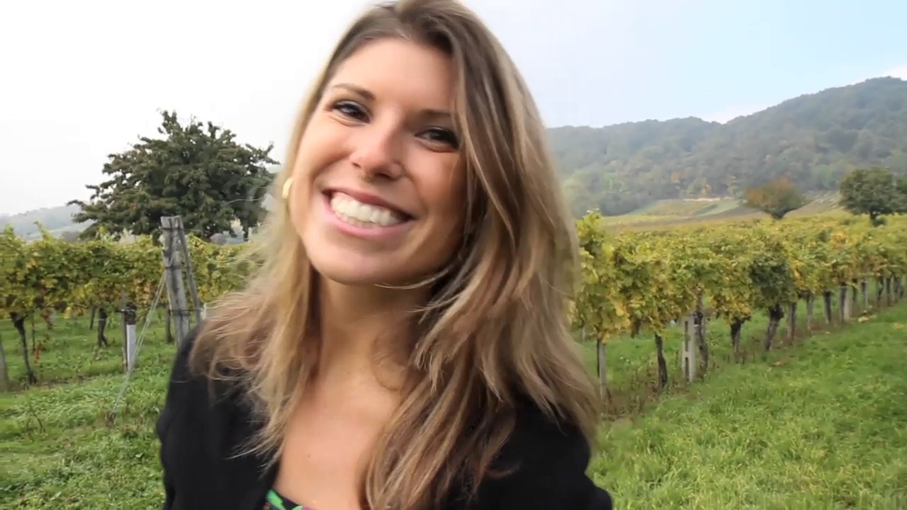 Weingut Sommer Vineyard in Austria's Burgenland