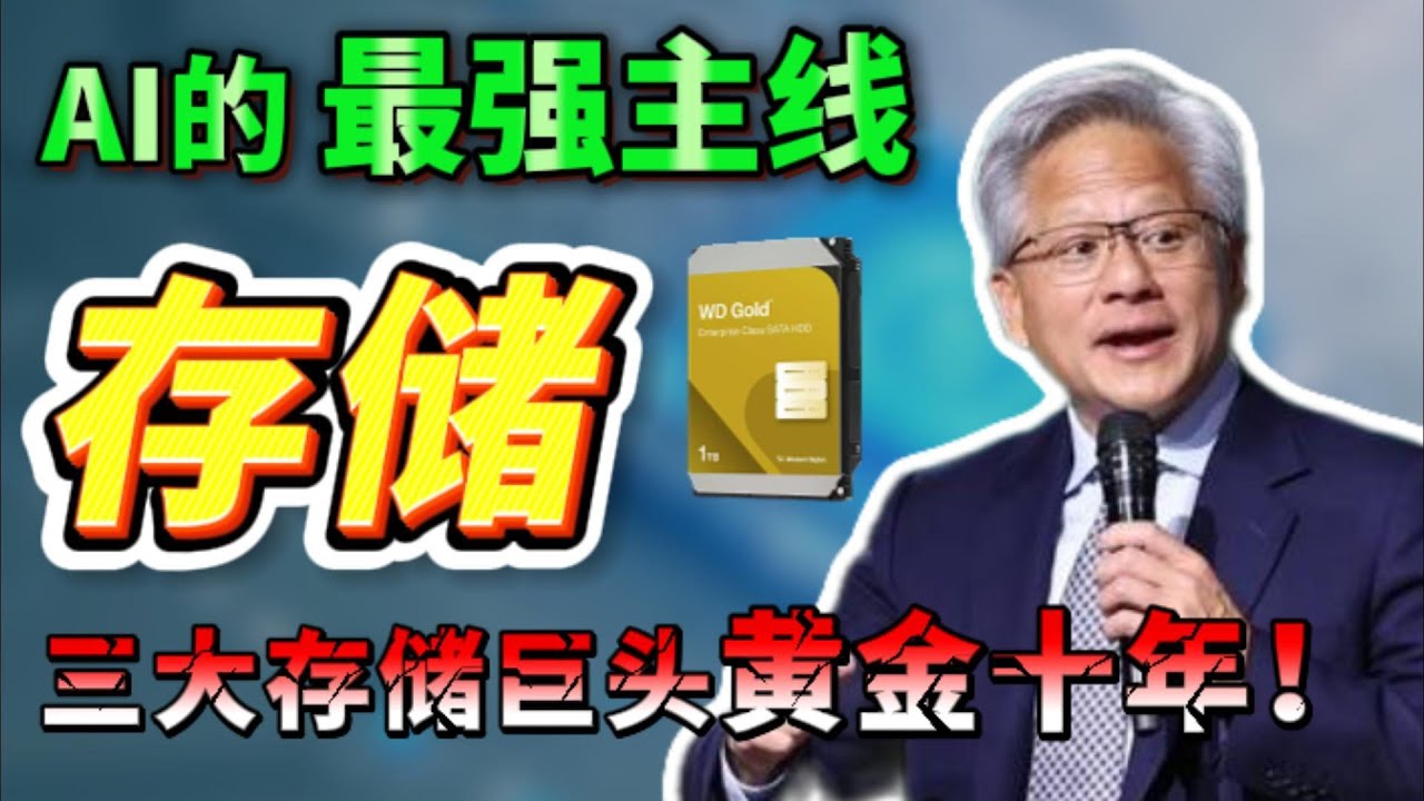 别在只盯英伟达！三大存储厂商迎来黄金十年！谁是下一个十倍股? 不看后悔一辈子！WDC STX MU 