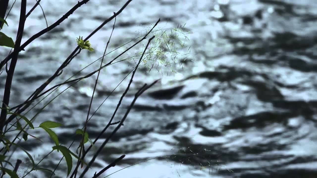 ARKTISET VEDET Season 3 KONNEVEDEN KOSKET