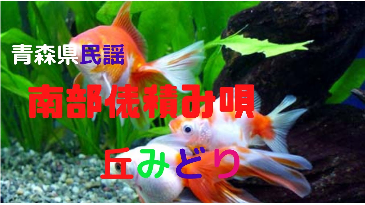南部俵積み唄 　青森県民謡　丘みどり　魅力の再発見を！