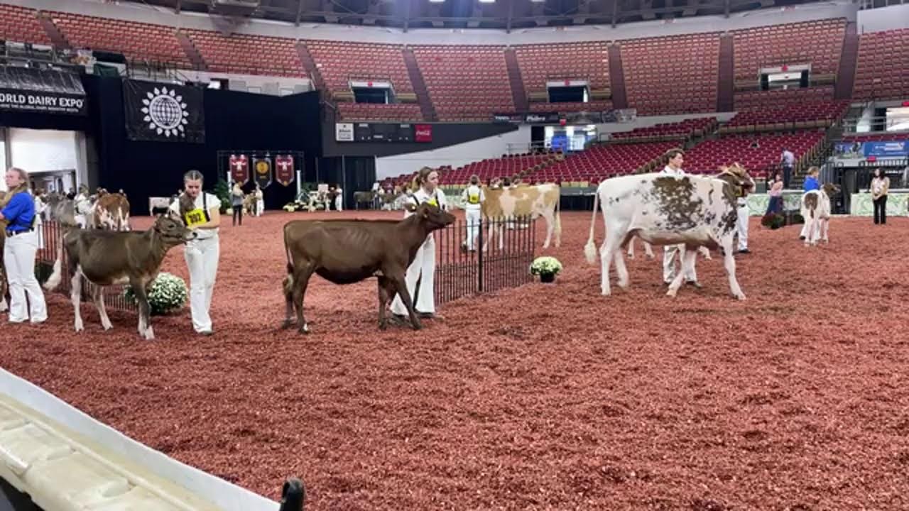 2023 WDE Showmanship South Ring