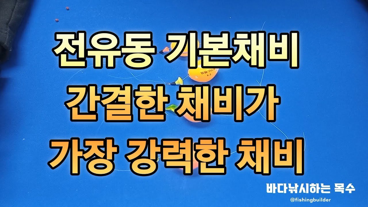 강럭한  전유동 채비법은?  #낚시 #바다낚시 #찌낚시 #남해낚시 #남해포인트 #남해 #전유동낚시 #가을낚시 #