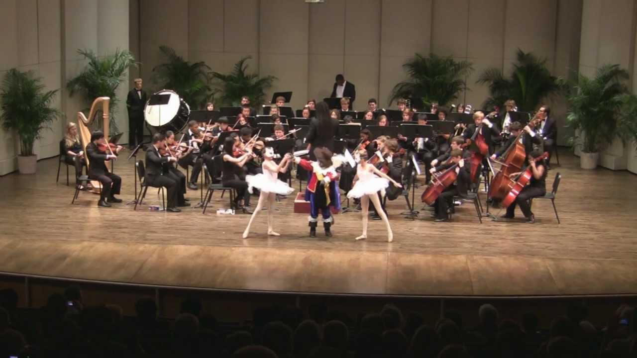 Sleeping Beauty Suite - GNOYO - Tchaikovsky