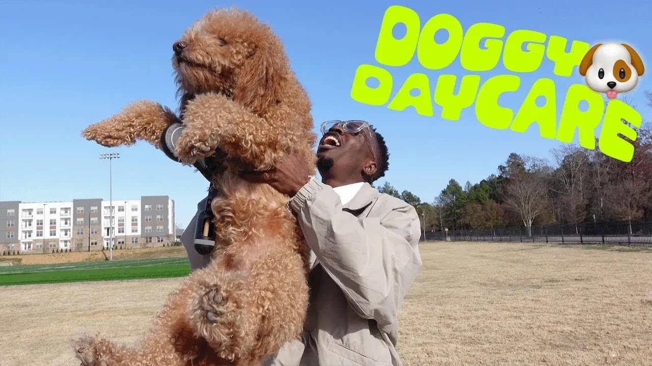 Doggy Daycare!! | eKidz | Elevation Church