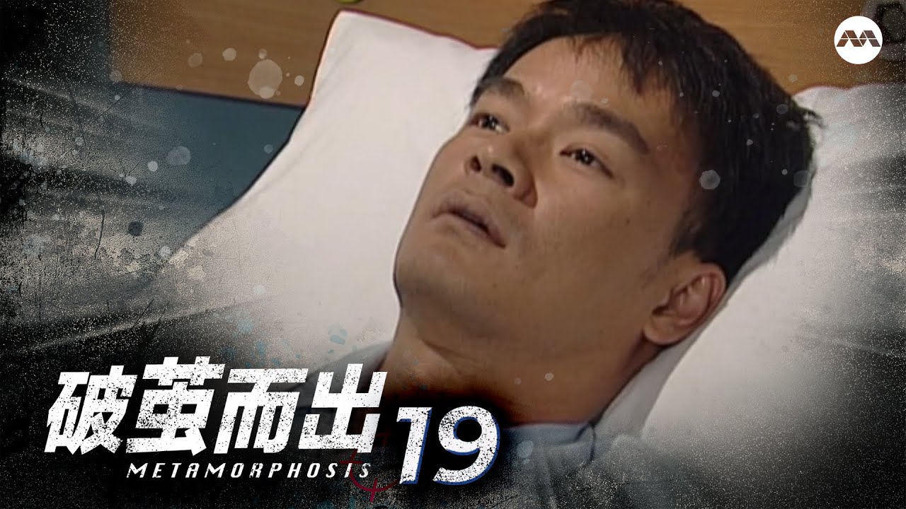 Metamorphosis 破茧而出 EP19 | Starring Rui En, Chen Hanwei, Terence Cao, Yvonne Lim, Thomas Ong