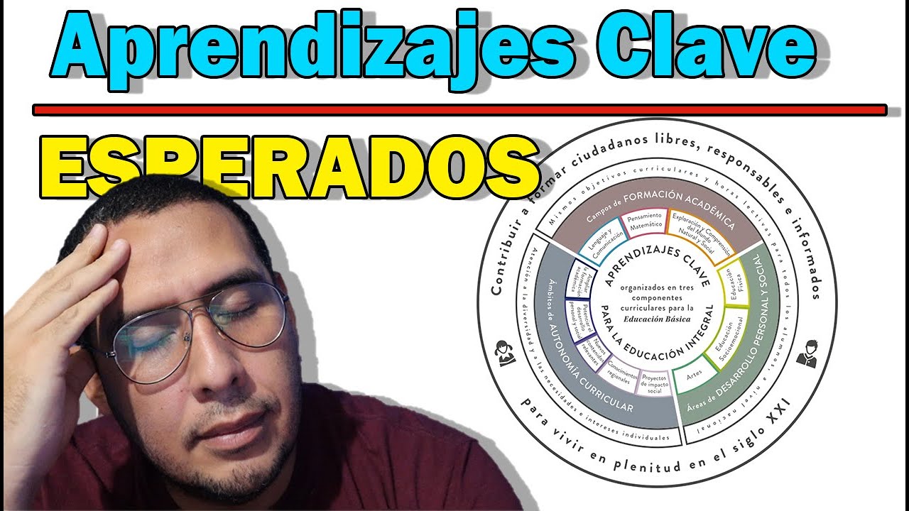 🤔 ¿Qué son los APRENDIZAJES CLAVE y esperados del PLAN 2017?