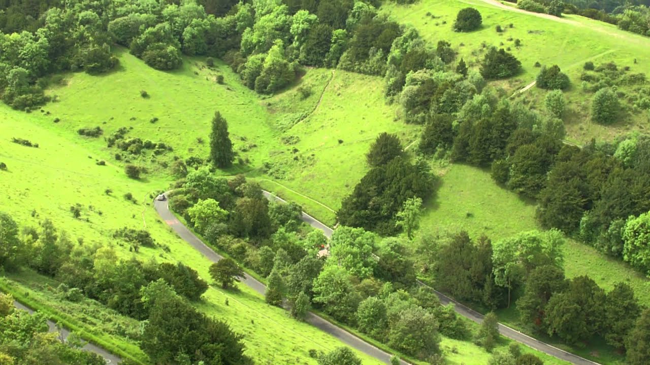 The National Trust -  Box Hill Centenary