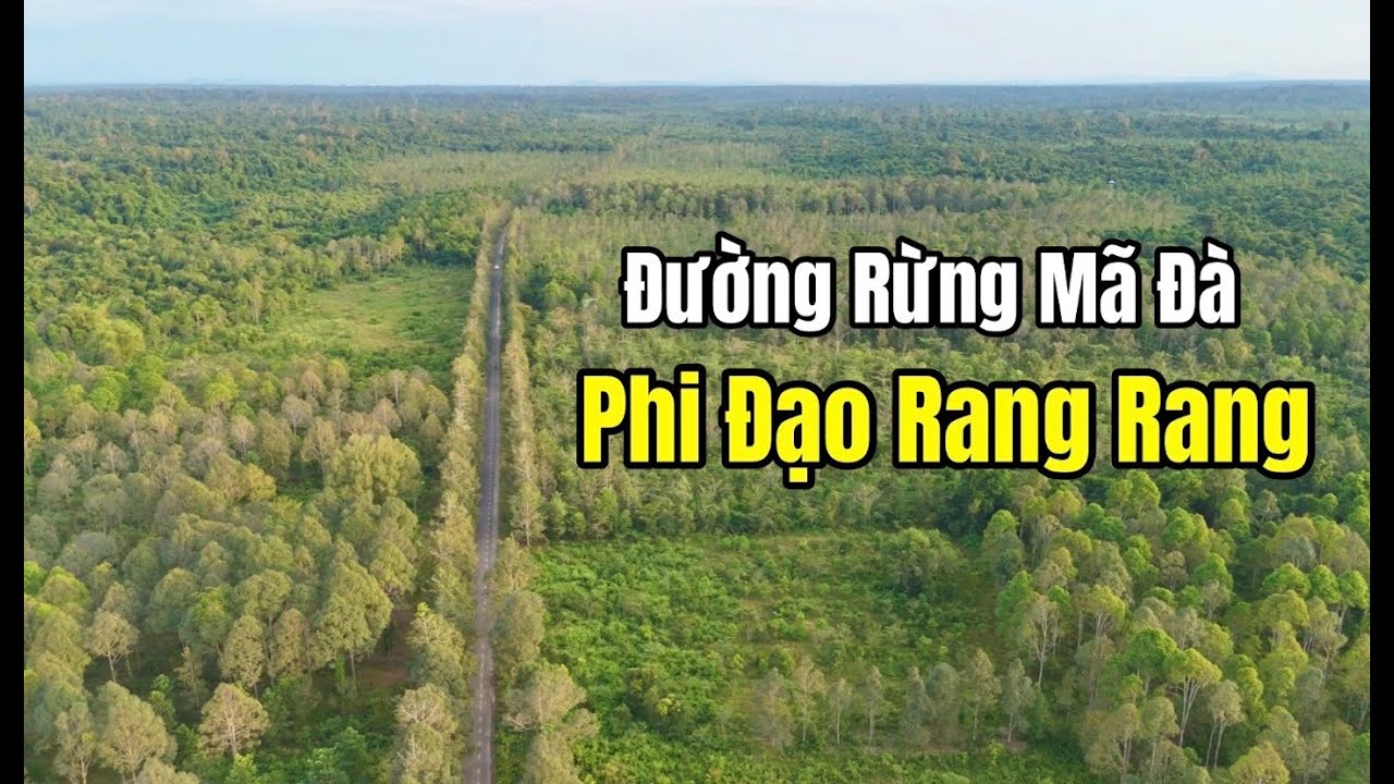 Đường rừng Mã Đà và cảnh quan nơi bò rừng sinh sống gần phi đạo Rang Rang xưa.