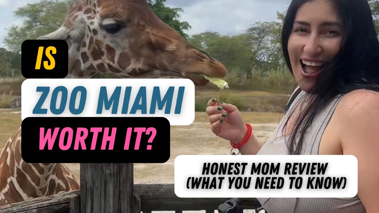 Zoo Miami: Worth It for Kids? 🦒 Honest Mom Review + Tips