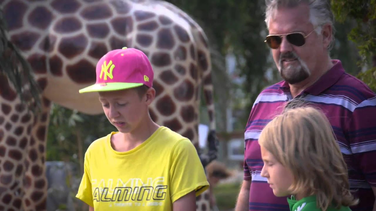 Löttorps Camping