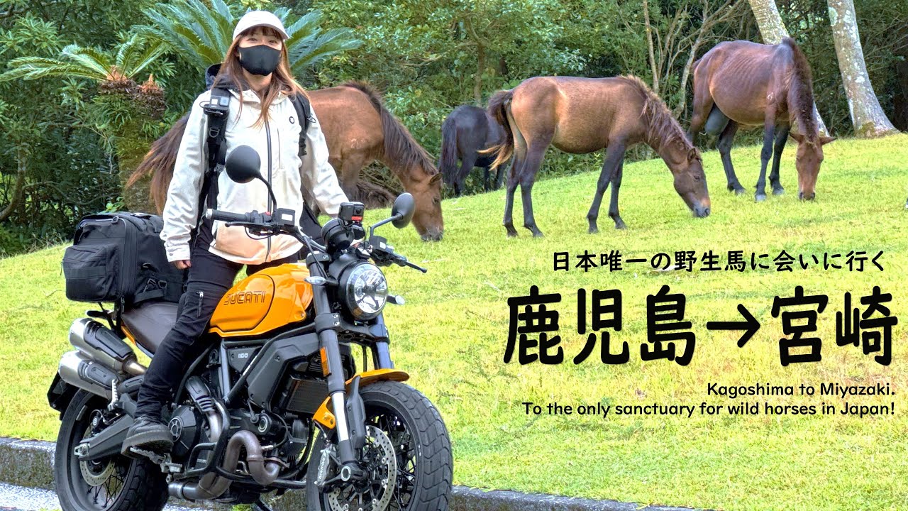 九州の旅(3) 野生馬と絶景。都井岬を目指す一期一会の旅路｜DUCATI Scrambler1100 TributePro｜30代 女の休日バイクVlog【鹿児島－宮崎】