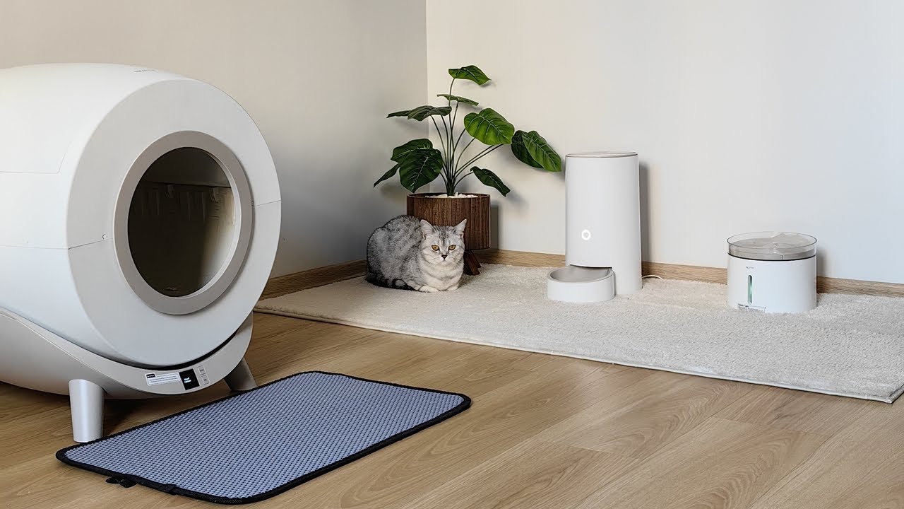 NOTTY Akıllı Kedi Yaşam Seti / Otomatik Kedi Tuvaleti, Mama ve Su Kabı, Tanıtım ve Kurulumu