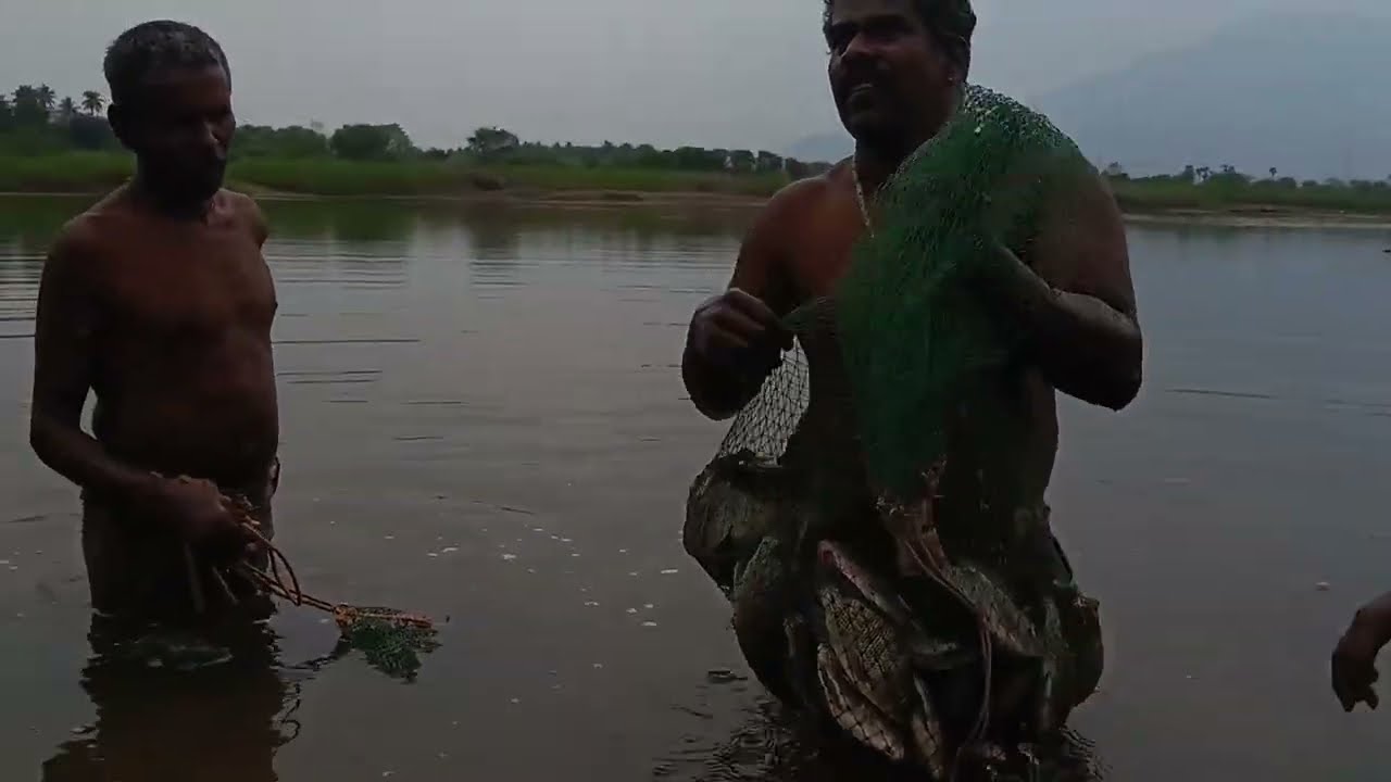 தரமான மீன் வேட்டை || #fishing #vlog 