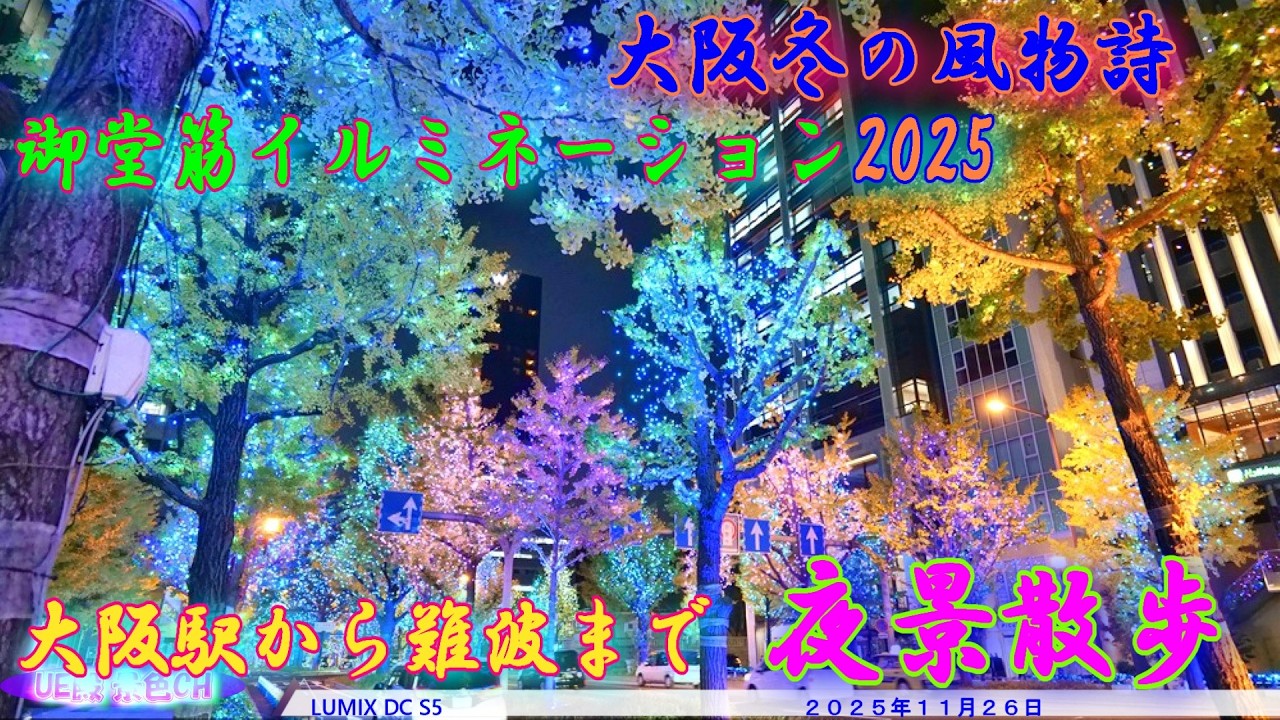 【4K・夜景散歩】御堂筋イルミネーション｜大阪駅〜難波駅を歩く｜大阪冬の風物詩（2025.11.26）