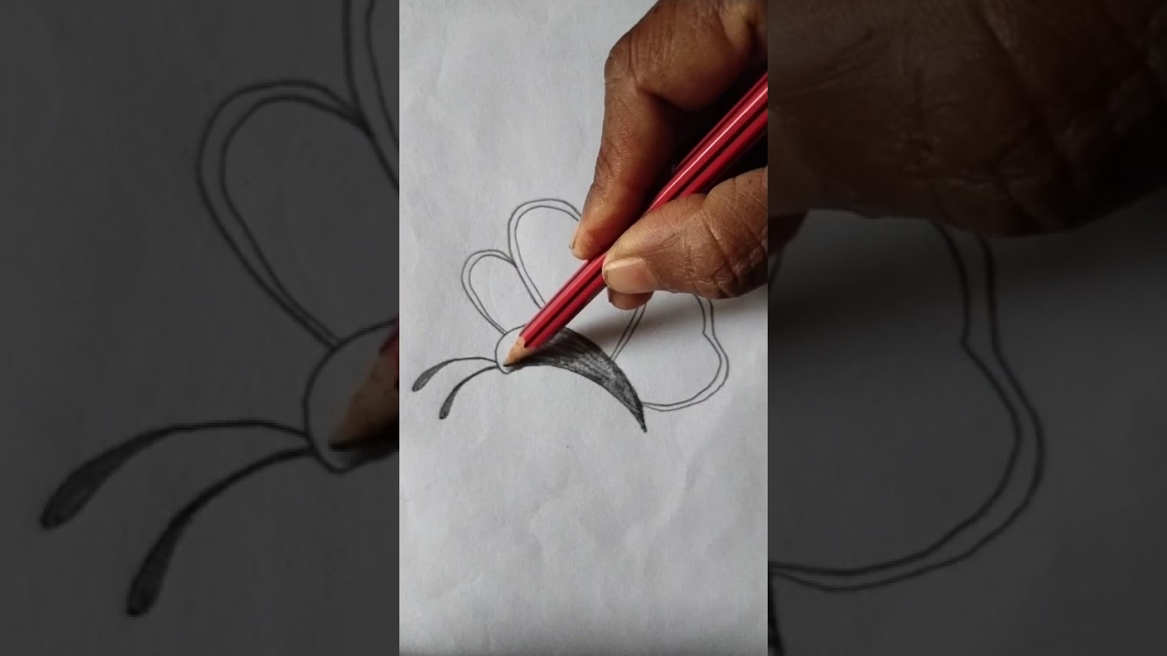 🦋Butterfly Drawing / 🦋Butterfly Drawing/ Easy pencil Drawing ||#viral #drawing #
