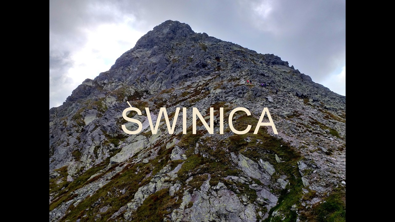 Świnica