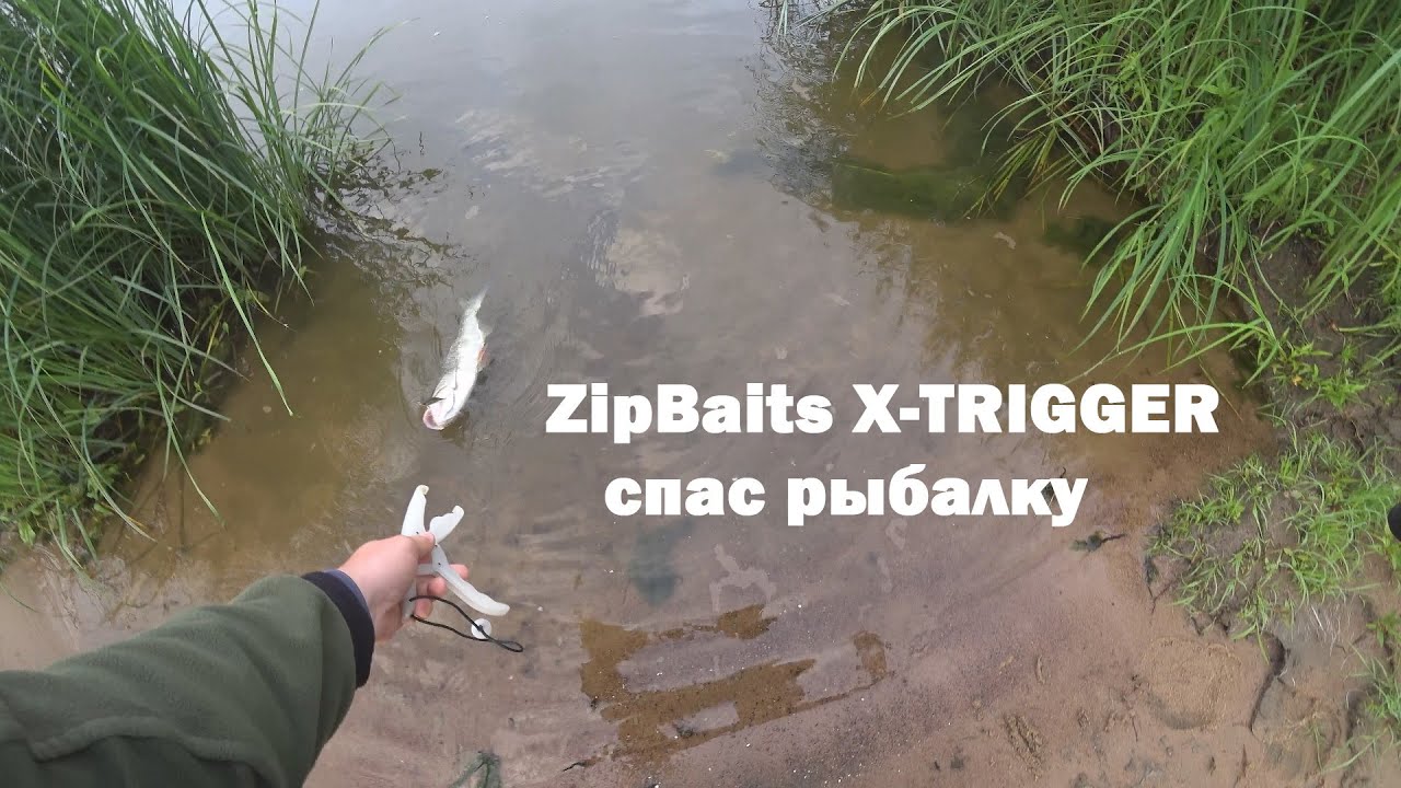 Рыбалка одной рыбы. ЖЕРЕХ на стик Zipbaits ZBL X-Trigger на Оке. 31 июля 2022