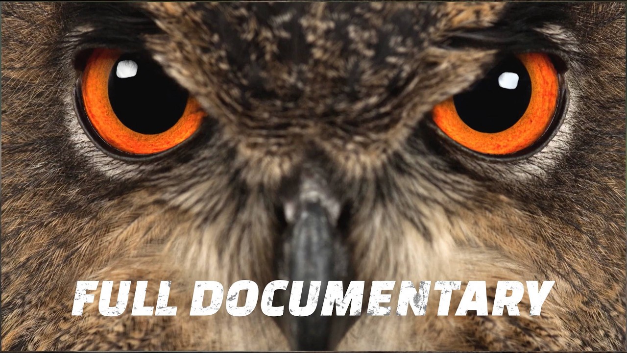 Суперзрение: главное преимущество природы