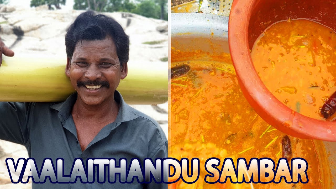 வாழைத்தண்டு சாம்பார் |  Raw Bannana Stem Sambar | Vaalaithandu Sambar | parambariya samayal