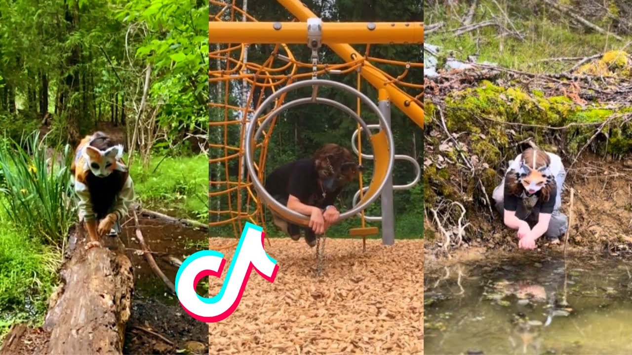 Therian and Quadrobics TikTok Compilation || Alterhumans of TikTok #25