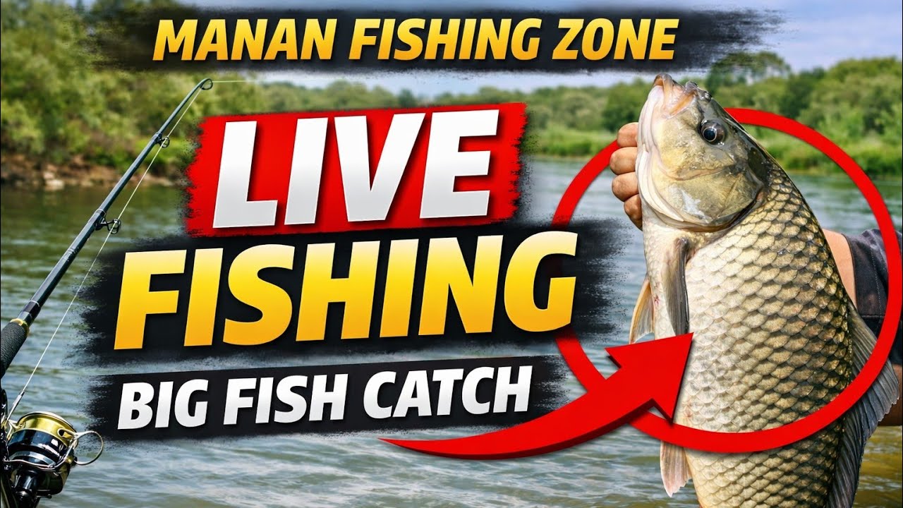 !Today's target: 200 fish!!🐬Sea fishing 🎣🎣