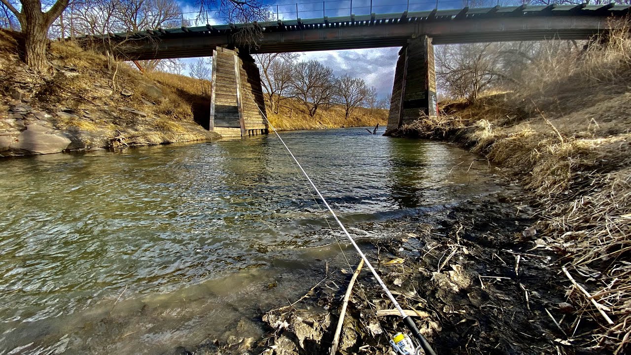 Hard Fighting Fish Live Under This Abandoned Railroad Bridge ( New Merch Shop )