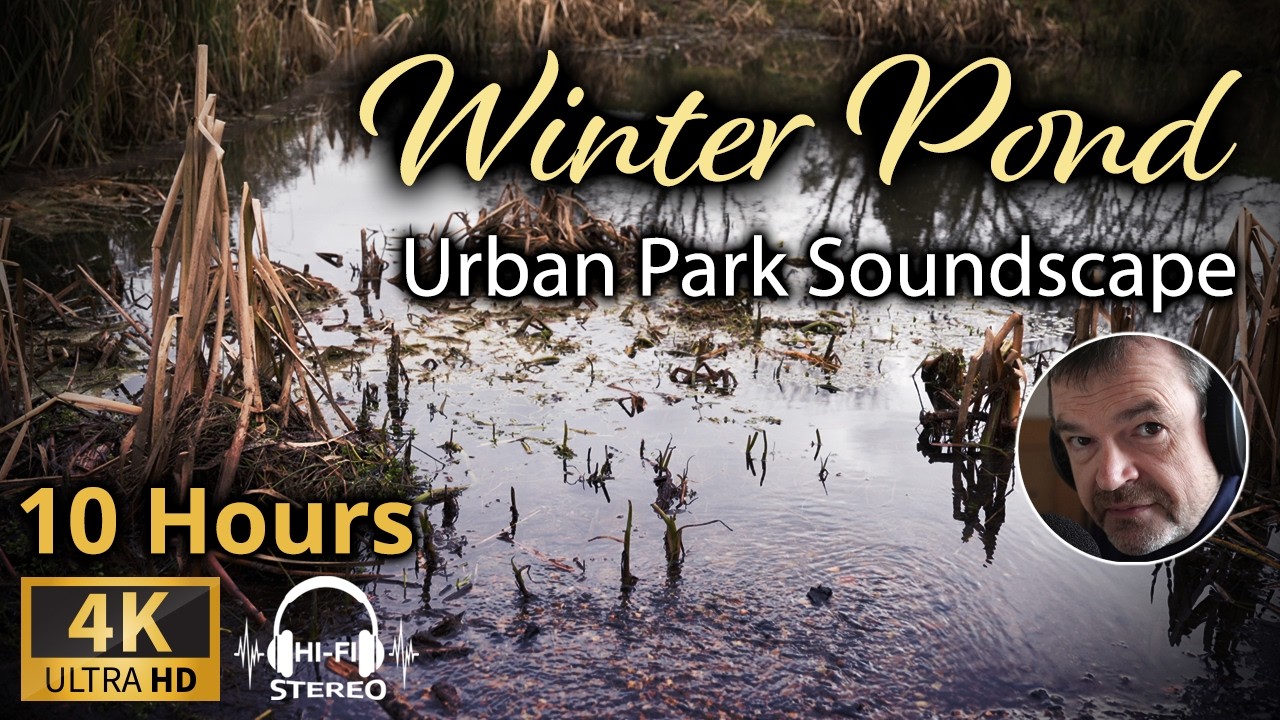 10 Hours of Nature Sounds by the Pond to Help You Relax | Nature Sounds to Focus and Unwind