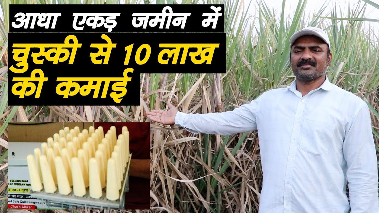 आधा एकड़ में गन्ने की चुस्की से 10 लाख की कमाई, किसान का गजब स्टार्टअप || Technical Farming ||