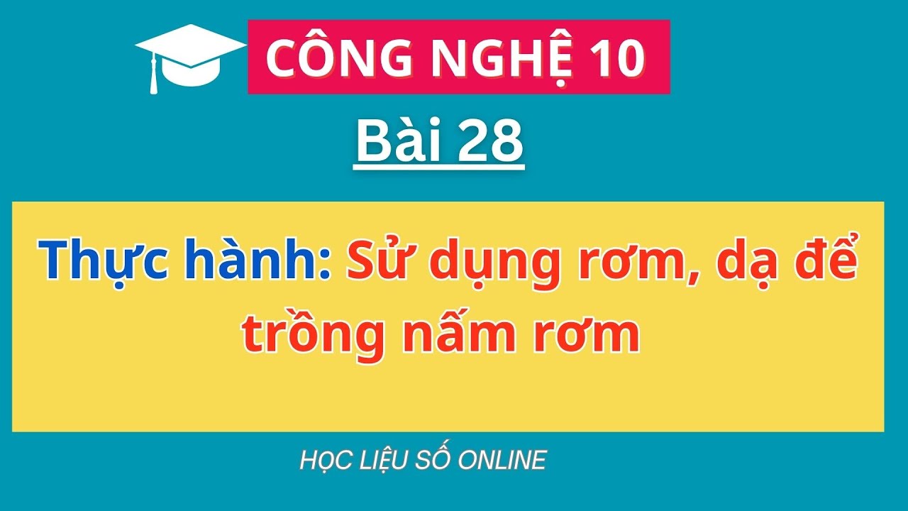 Công nghệ 10: Bài 28- Thực hành Sử dụng rơm, dạ để trồng nấm rơm