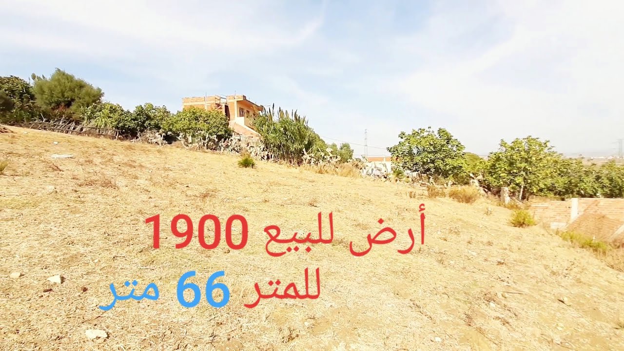 أرض للبيع عين دالية الكبيرة طنجة 66 متر الثمن 1900 درهم للمتر أرض في الموقع رائع جدا وهادئ