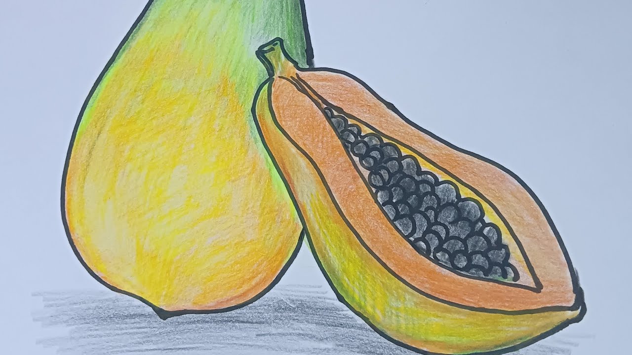 "A Soft, Juicy Papaya Drawing" | পেঁপে আঁকা 🍈💛