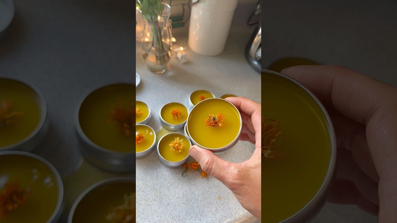 How to make skin salve with calendula flowers. It doesn&rsquo;t get easier than this🌼