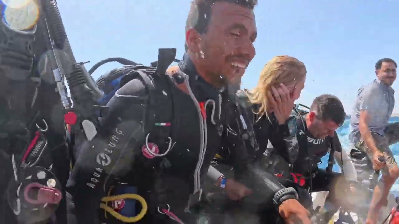 Turtles & Dolphins - Orca Dive Club & Concorde Moreen Beach  2024