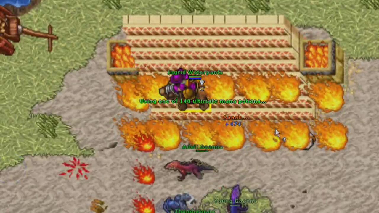 Tibia War | Warguild One - Solidera 2020 Episode 8 | Elder Druid 900+ DEAD
