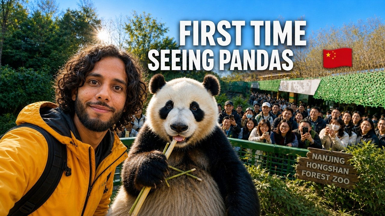 🇨🇳 Inside China’s Most Crowded Zoo 😳｜南京红山森林动物园