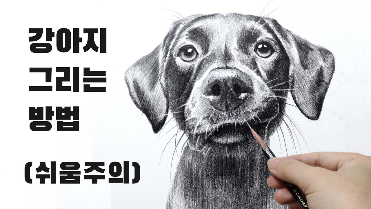 강아지(동물) 쉽게 그리는 방법, 연필소묘, 기초소묘, 뎃생수업