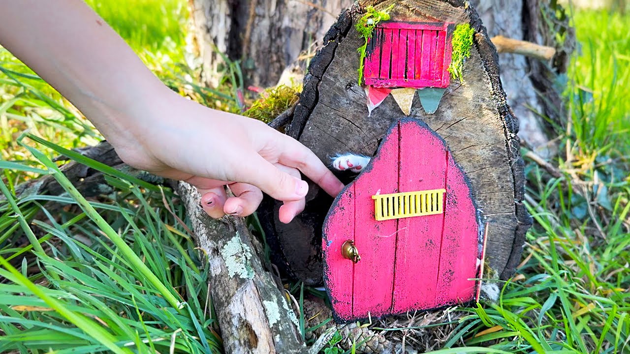The Smallest Rescued Kittens Found a New Home. Building a New House for CATS.