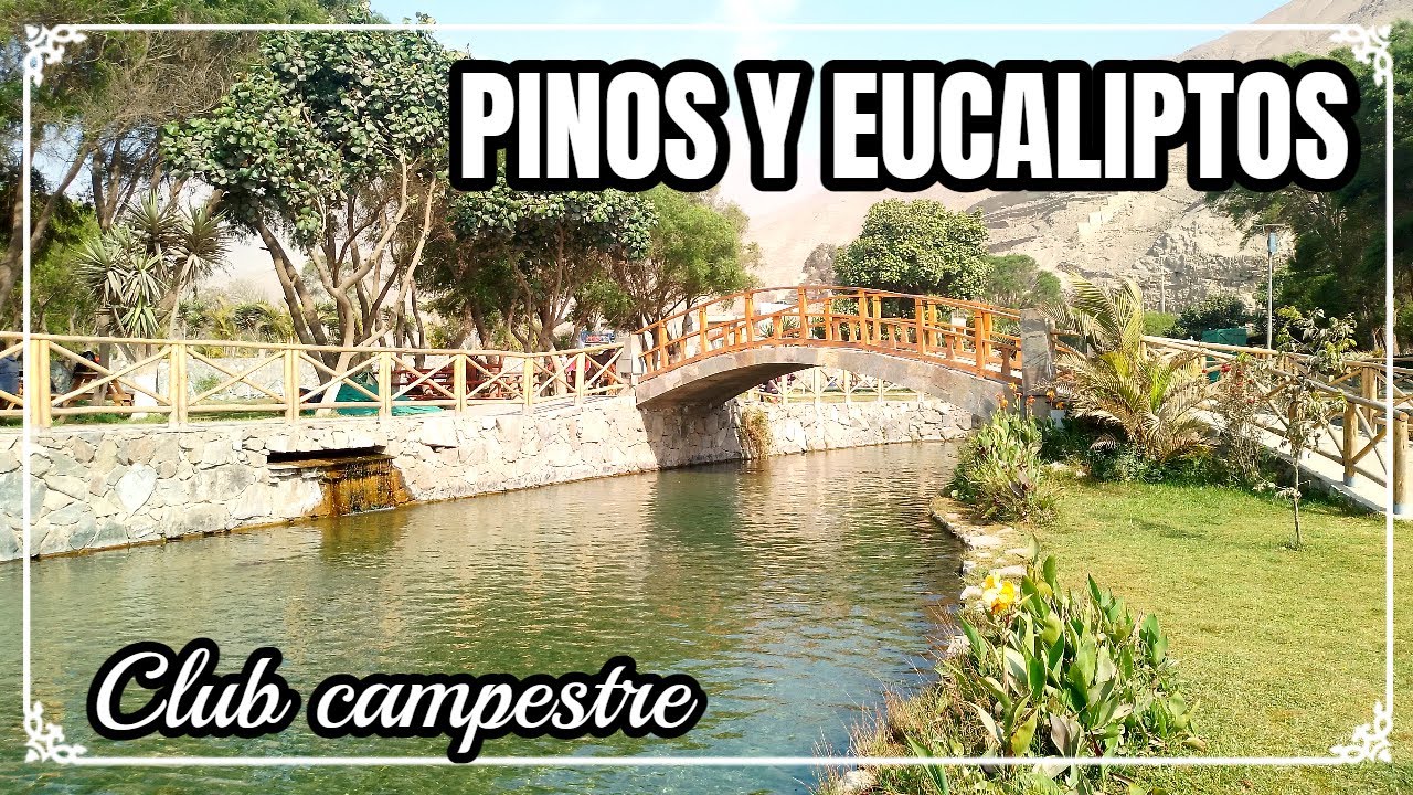 PINOS Y EUCALIPTOS : CLUB CAMPESTRE / ¿Como llegar? y ¿Qué actividades realizar?