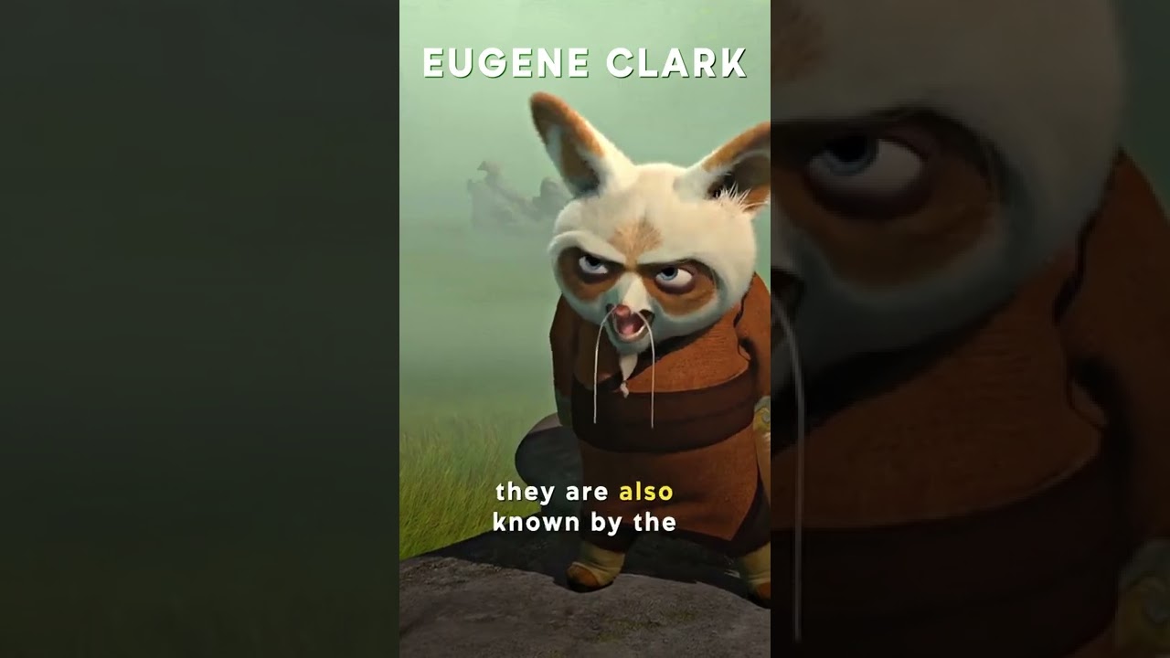 Did You Know In KUNG FU PANDA&hellip;