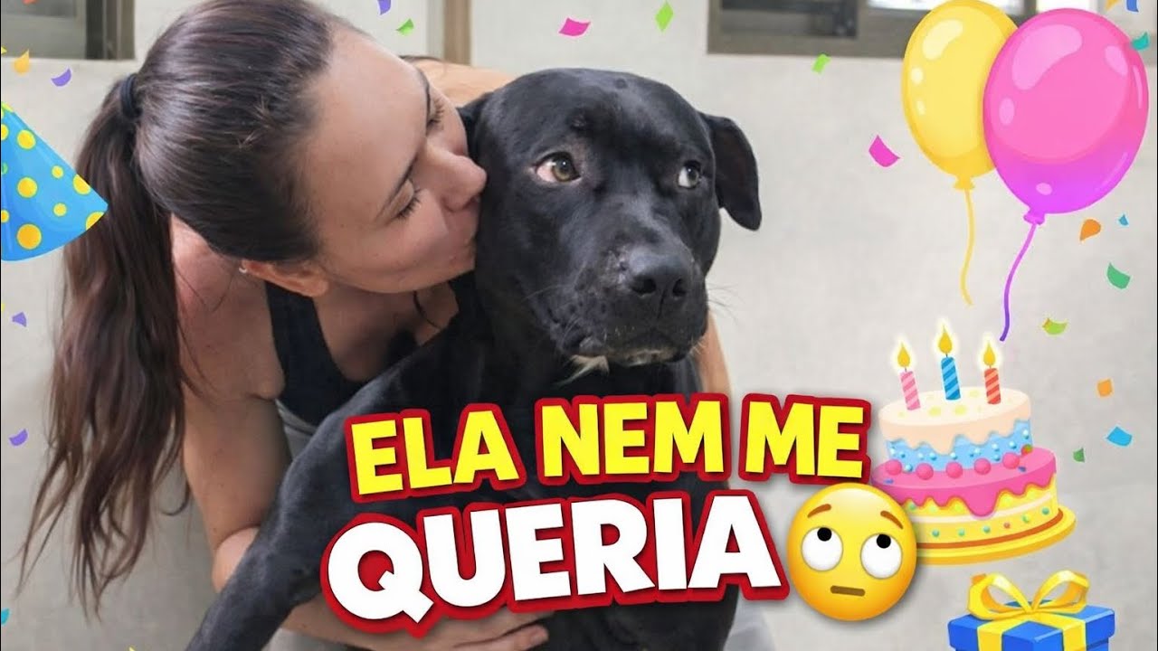 HOJE É ANIVERSÁRIO DA COCORICÓ 🎉🎂🥳
