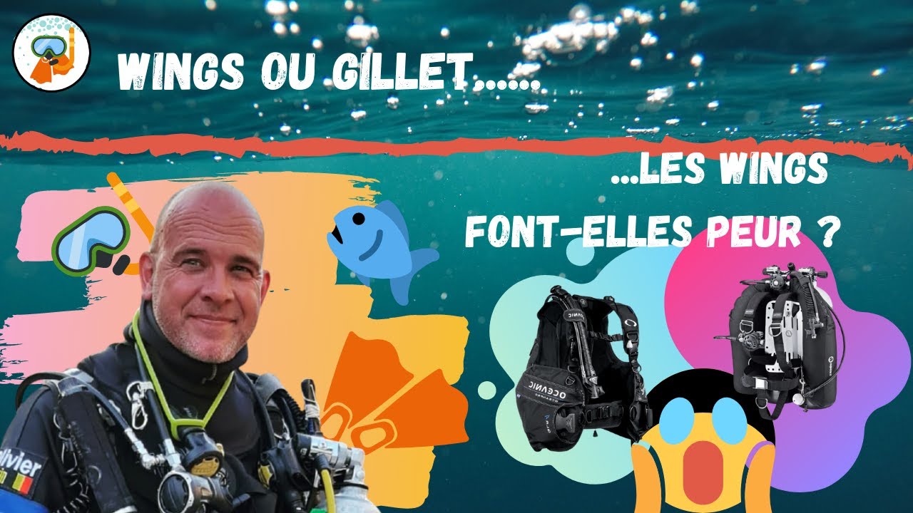 gilet ou wings - Pourquoi font-elles peur ?