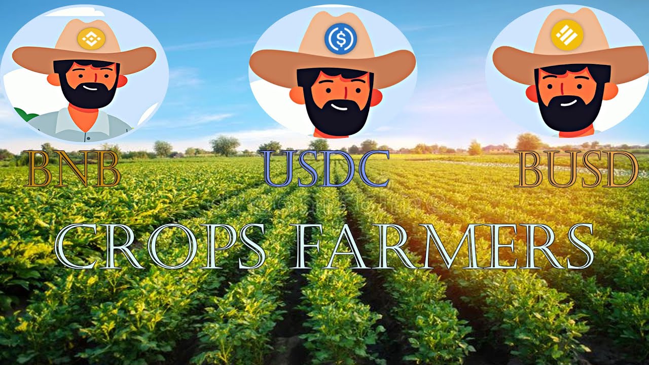 BNB Crops Farm best bnb miner + updates on USDC/BUSD Crops Famer