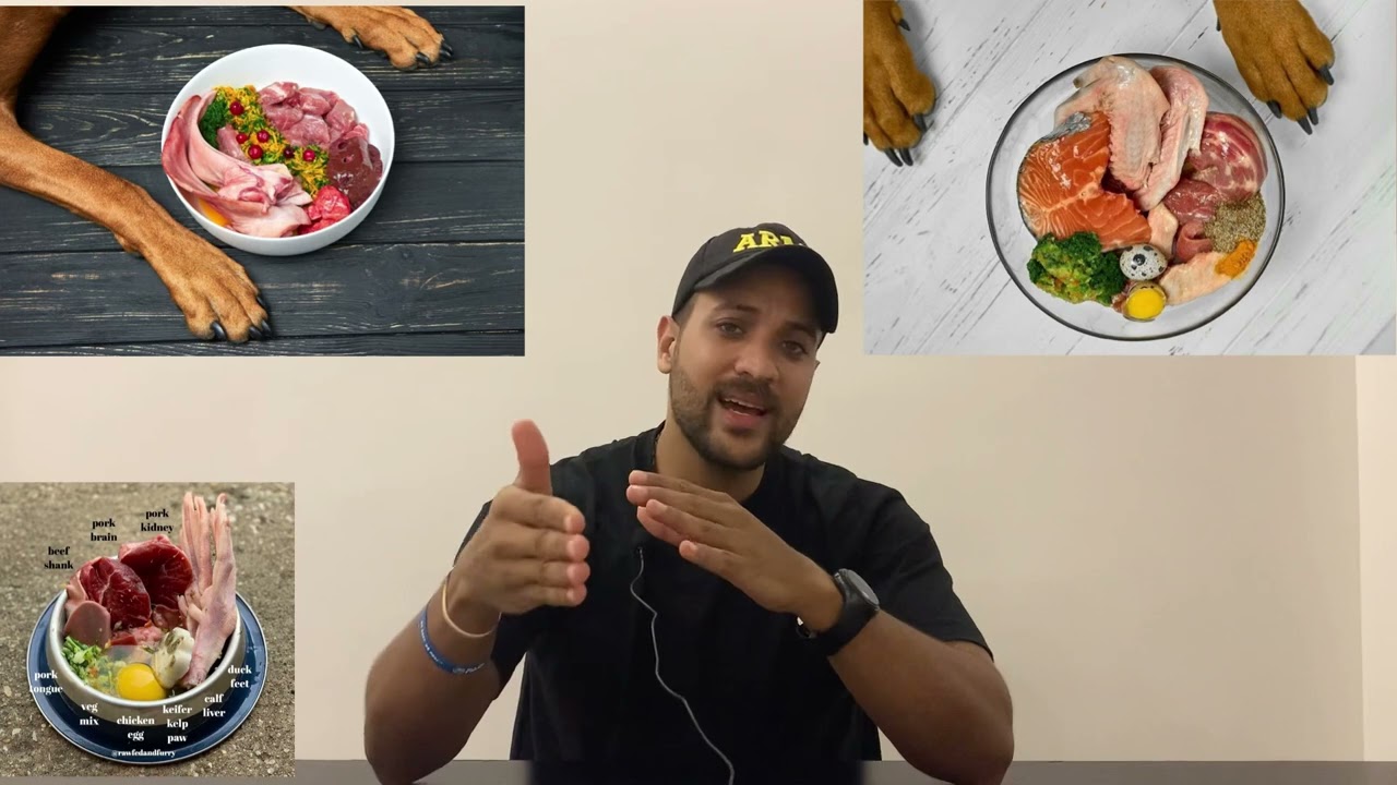 تغذية الكلاب الصحيحة