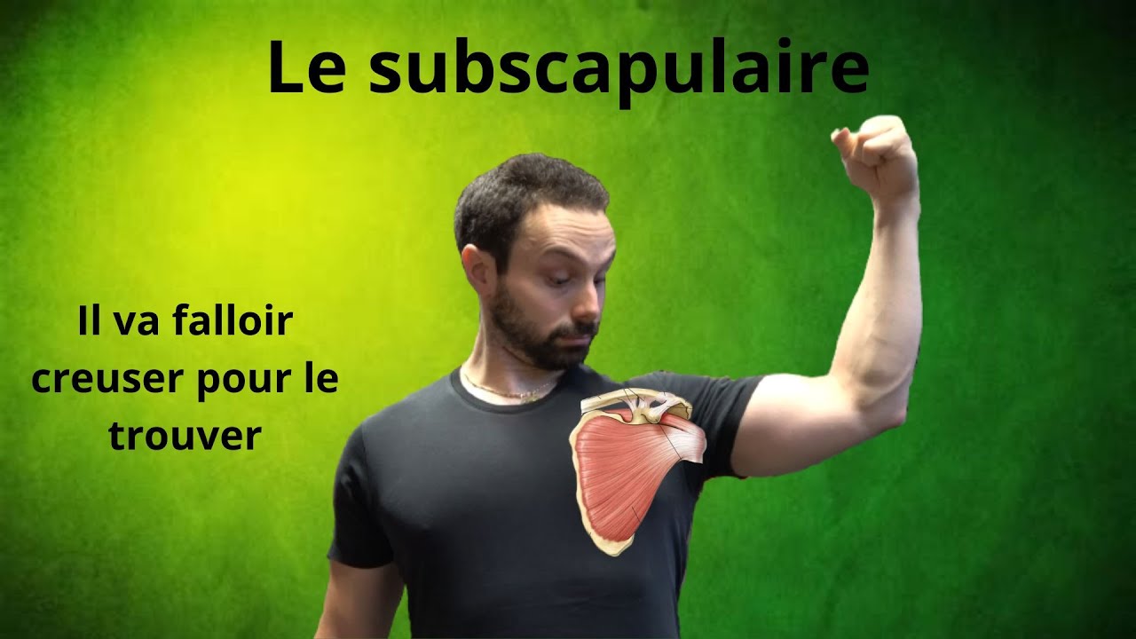 Subscapulaire, le muscle oublié