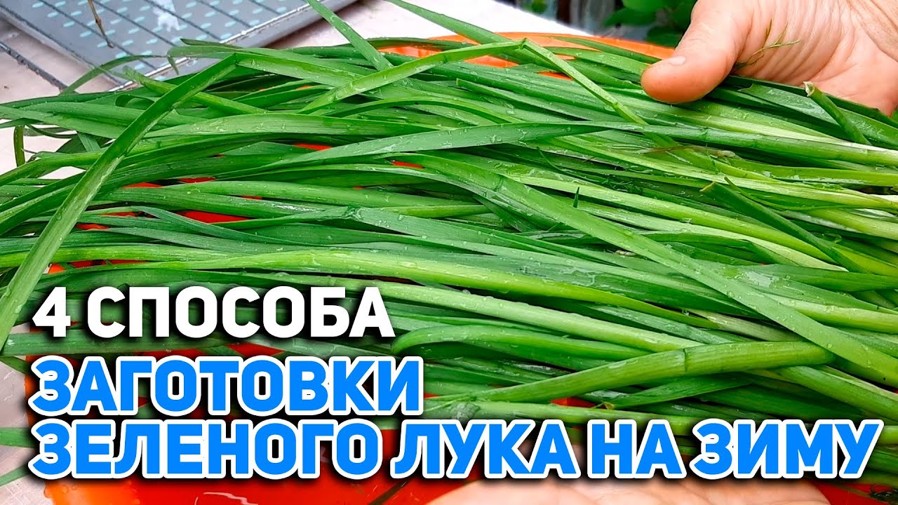 ПАСТА СОУС ИЗ ОСТАТКОВ ЗЕЛЕНИ/ЗЕЛЕНЫЕ ЩИ ЗАМОРОЗКА/ЛУК ЗЕЛЕНЫЙ ЗАГОТОВКА НА ЗИМУ@obovsemsmarusya