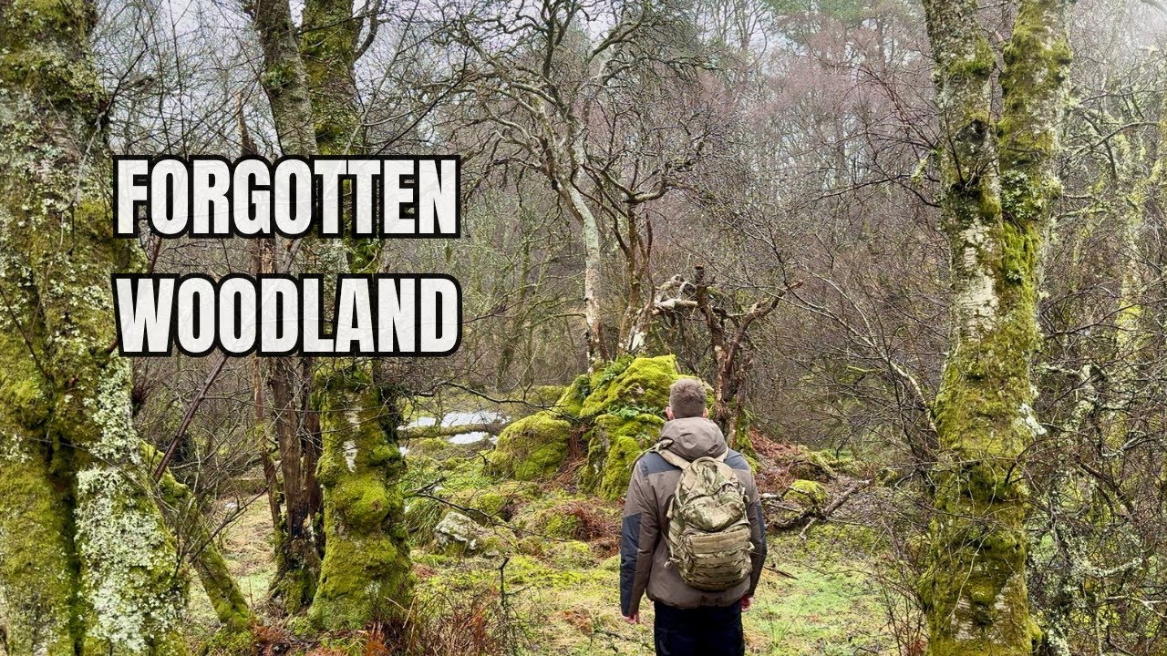 Exploring a Forgotten Scottish Woodland for Photography