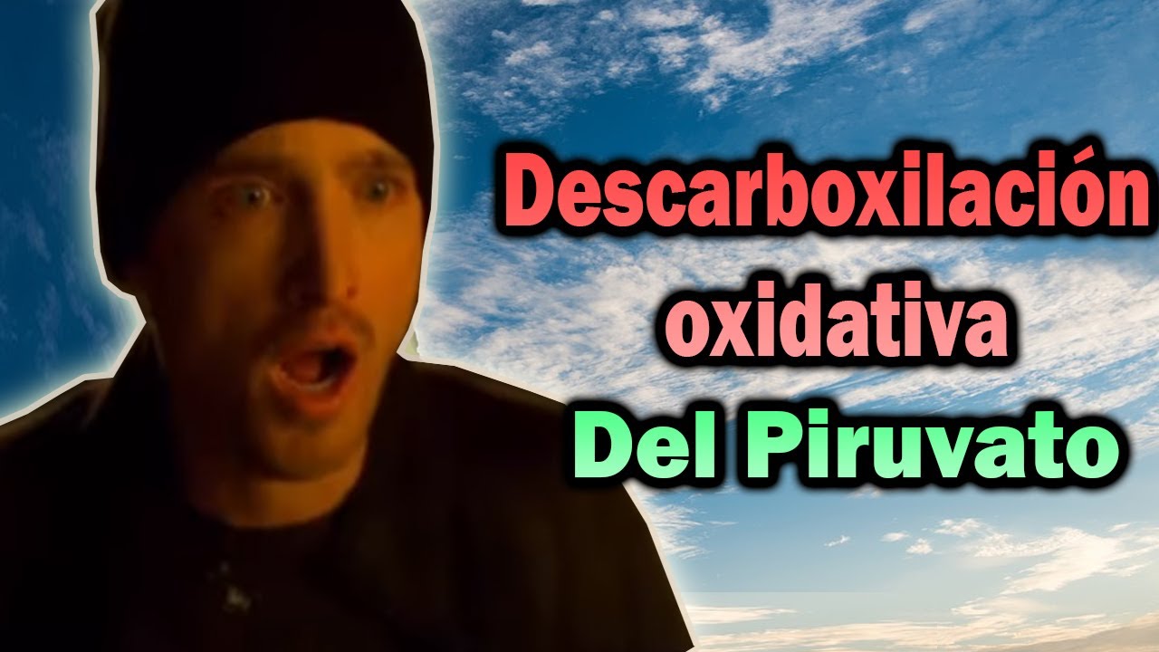 Descarboxilación Oxidativa del Piruvato - Explicado Fácil, Rápido y Sencillo🎂🎂